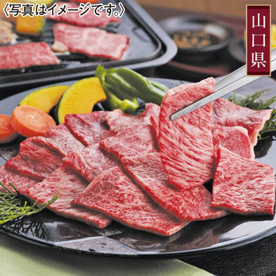 ＜厳選肉専門店ふじ匠＞やまぐち和牛燦（きらめき）焼肉食べ比べセット