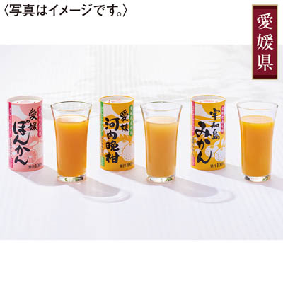 ＜愛工房＞愛媛県産ジュース２１本セット（みかん、河内晩柑、ぽんかん）