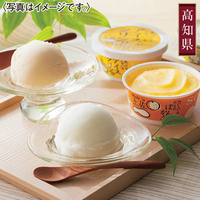＜高知アイス＞アイスセット