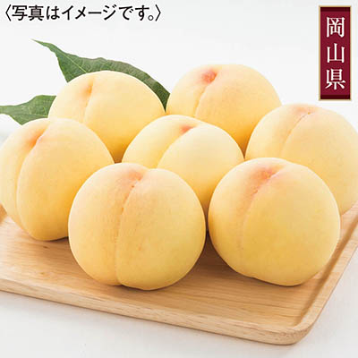 岡山県産　玉北モモ部会清水白桃