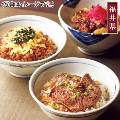＜ごっつお便＞福井　越前三國湊屋　若狭牛ミニ丼セット
