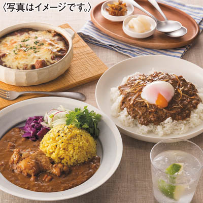 博多華味鳥　カレーセット９食入
