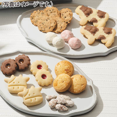 ＜ヨーグルトフォーシーズンズ＞ヨーグルトクッキー缶