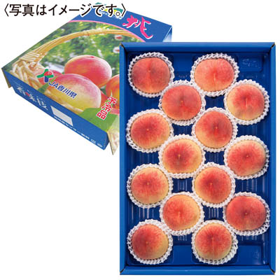 香川県産　飯南の桃