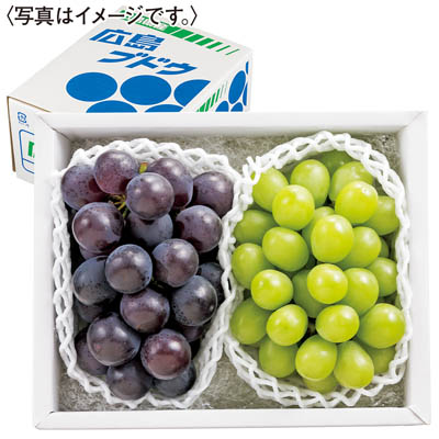広島県産　三次ピオーネ＆シャインマスカット