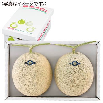 熊本県産＜七城メロンドーム＞　アールスメロン