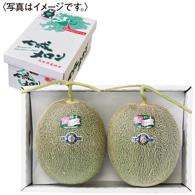 熊本県産＜七城メロンドーム＞　肥後グリーンメロン