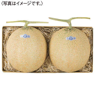 静岡県産　マスクメロン（クラウン）
