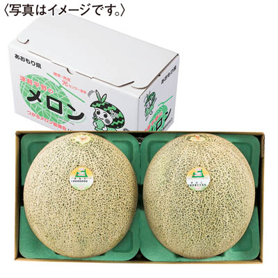 青森県産＜ＪＡ五所つがる＞タカミメロン