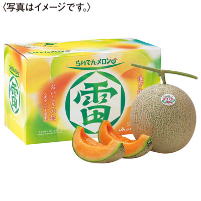 北海道産＜ＪＡきょうわ＞らいでんメロン