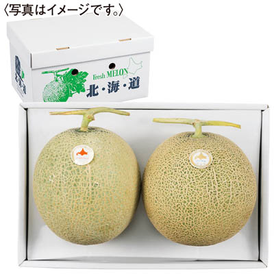 北海道産　ノースランドメロン＆ノーブルメロン