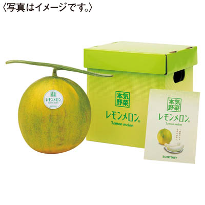 北海道産　サントリー本気野菜「レモンメロン」