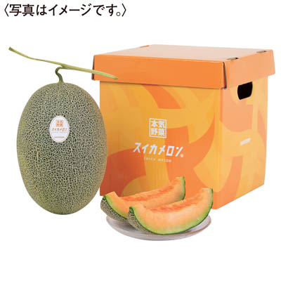 北海道産　サントリー本気野菜「スイカメロン」