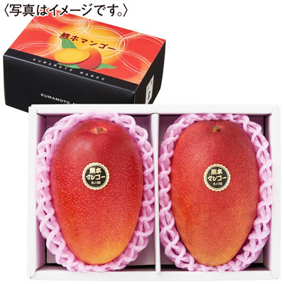 熊本県産　マンゴー