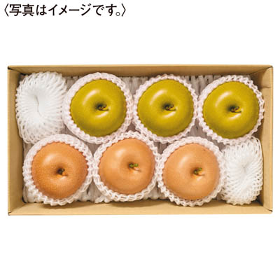 伊万里梨と幸水梨の食べ比べ