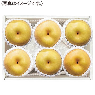 佐賀県産　伊万里梨（幸水梨）