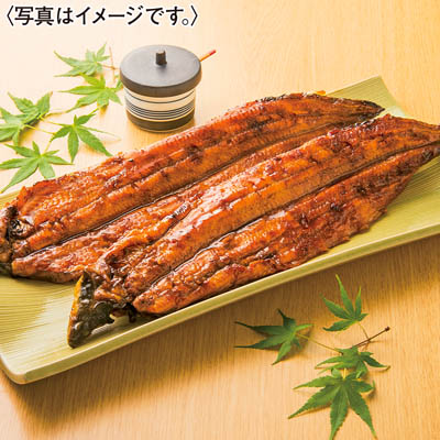 ＜マルヒロ水産＞愛知県産　手焼き初物うなぎ蒲焼