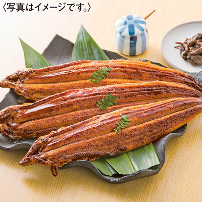 淡麗良蒲うなぎ蒲焼３尾セット（焼肝入）