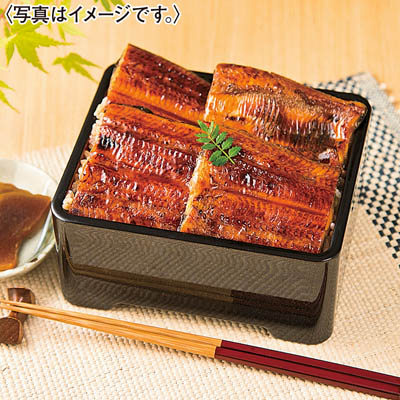 淡麗良蒲カット１０切れセット