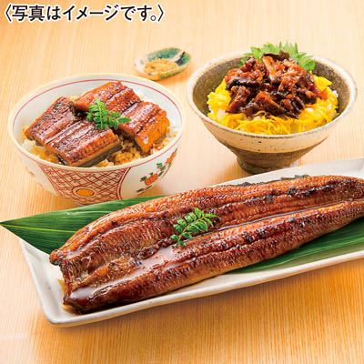 ＜鰻楽＞九州産うなぎ蒲焼セット