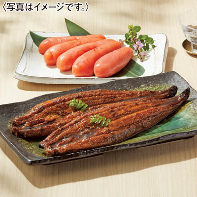 ＜福さ屋＞辛子明太子・うなぎ蒲焼詰合せ