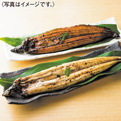 ＜龍川魚商店＞九州産うなぎ白焼き・蒲焼き食べくらべセット