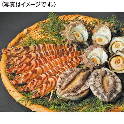 ＜天草フーズ＞九州産　活車えび・活あわび・活さざえセット