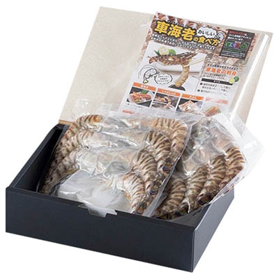 ＜鳴門クルマエビ＞お刺身ＯＫ！！うず潮車えび（養殖・冷凍）