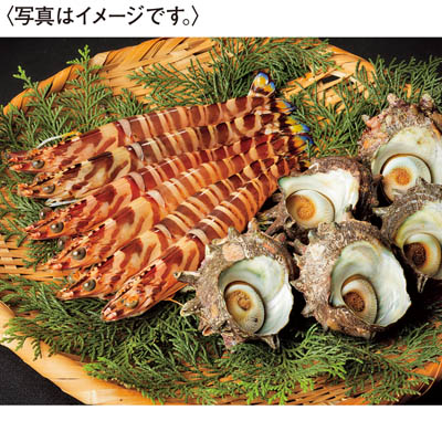 ＜天草フーズ＞九州産　活車えび・活さざえセット