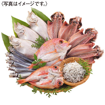 ＜国近商店＞海匠國近　魚急便