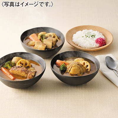 ＜ＧＡＲＡＫＵ＞彩り５種野菜のスープカレーセット