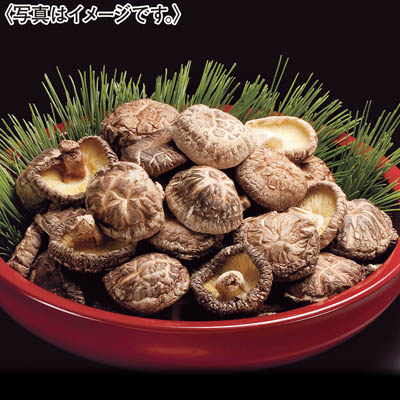 ＜兼貞物産＞大分県産どんこ椎茸