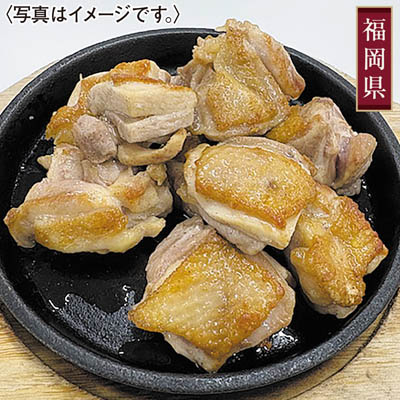 はかた地どり焼肉セット（もも肉６００ｇ）