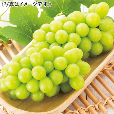 熊本県産　シャインマスカット