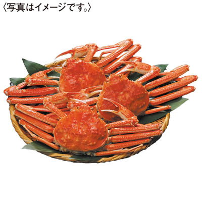 ＜エスケイフーズ＞ボイルおおずわいがに３尾＜姿＞
