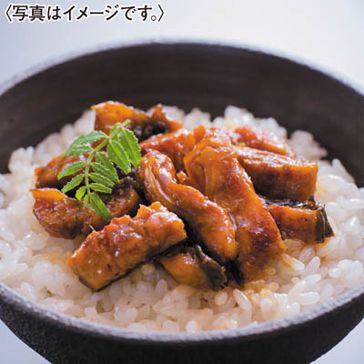 ＜鰻楽＞九州産うなぎ蒲焼きざみセット　５０ｇ×１０
