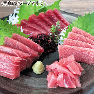 ＜石原水産＞お徳用南まぐろ切り落とし（中とろ入り）