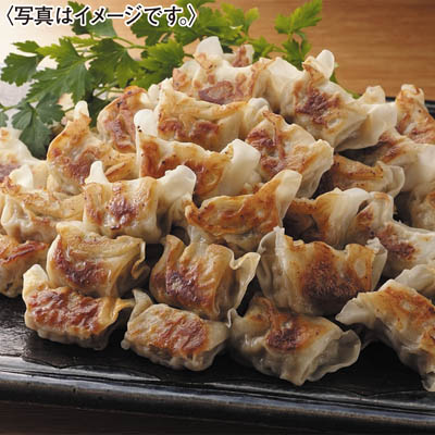 国産豚肉のひとくち肉餃子