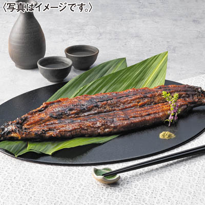 ＜兼光水産＞幻の新仔うなぎ