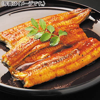 ＜ごっつお便＞浜松・浜名湖うなぎ蒲焼２人前