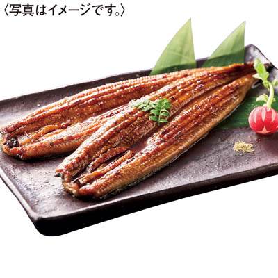 ＜鰻楽＞九州産うなぎ蒲焼２尾セット