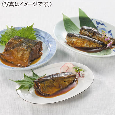 ＜エムフローズン＞佐近監修　骨まで食べられる煮魚１２食セット