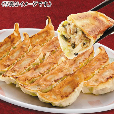 ＜宇都宮餃子館＞お店で人気の餃子６種セット