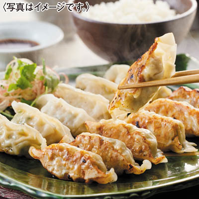＜梅の花＞餃子セット（計６０個）