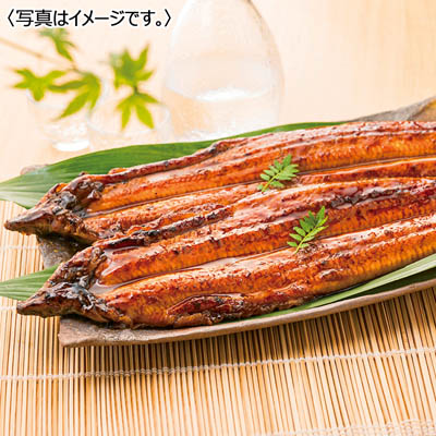 九州産 淡麗良蒲うなぎ蒲焼 2尾セット