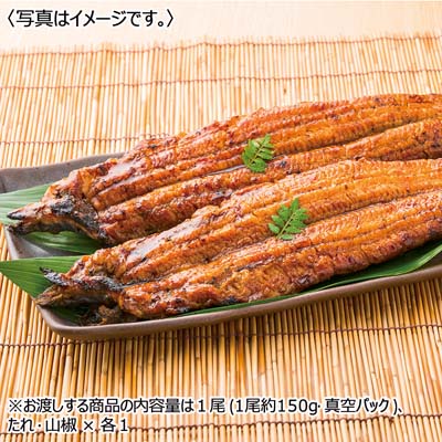 九州産 職人手焼き炭火 天の蒲うなぎ良蒲 1尾