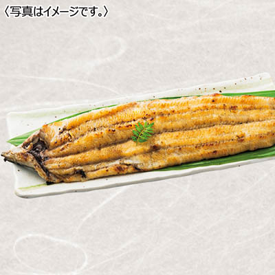 九州産 職人手焼き炭火 天の蒲うなぎ白焼き