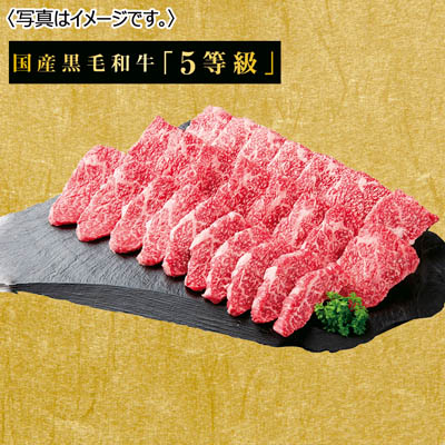 国産黒毛和牛5等級 国産黒毛和牛 赤身カルビ焼肉用（肩）