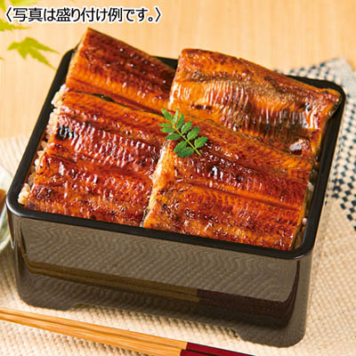 九州産 淡麗良蒲うなぎ蒲焼 10切セット