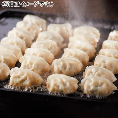 博多華味鳥監修　華味鳥ひとくち餃子セット